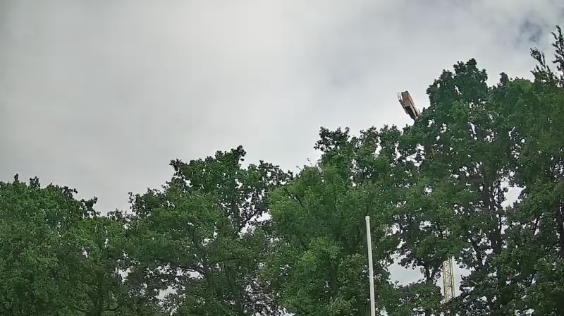 Cam 1