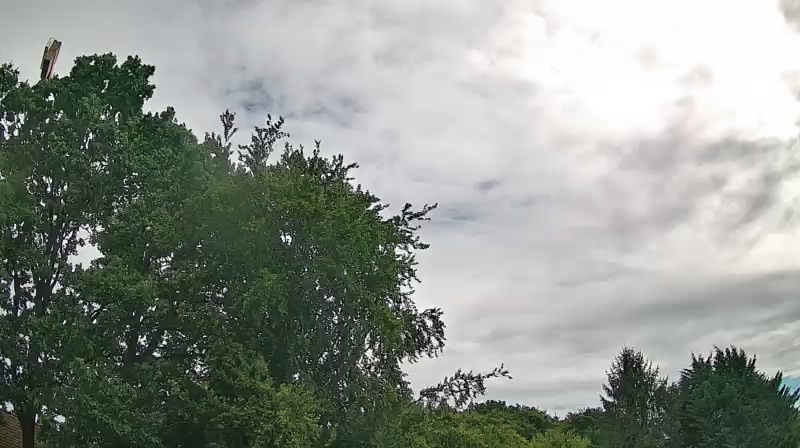 Cam 2