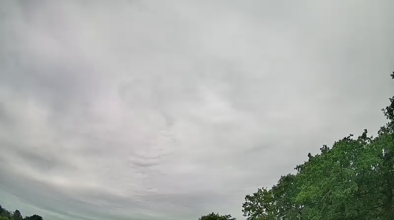 Cam 5