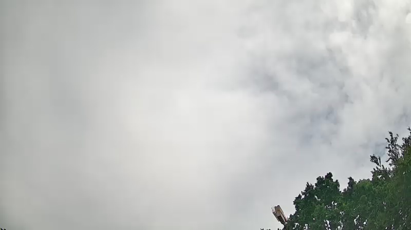 Cam 6