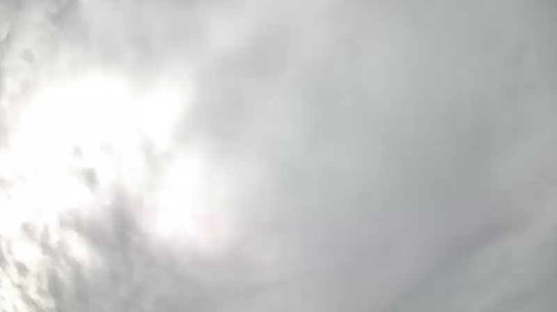Cam 7
